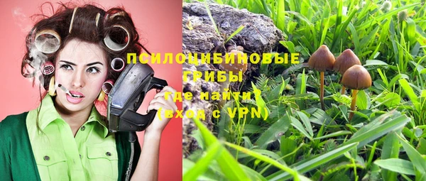 гашик Армянск