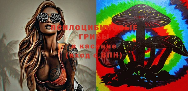 МДПВ Арсеньев